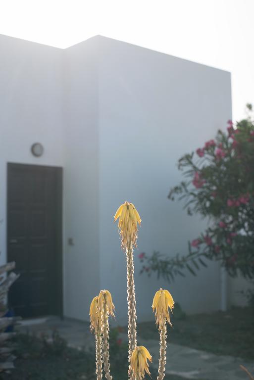 Drago Homes Corralejo Extérieur photo